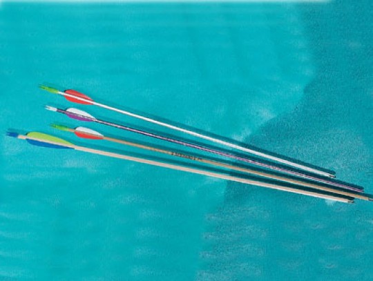 All-In Sport: Hochwertiger Alupfeil in attraktivem Design. Exzellenter Pfeil für aktive Schützen, sowie Einsteiger. Länge ca. 74 cm. Komplett mit Befed...