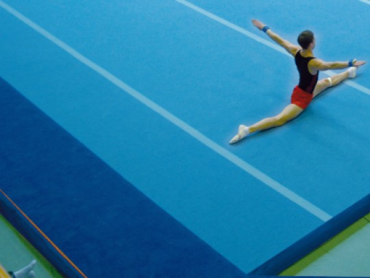 All-In Sport: 4-teiliger  Veloursteppich ca. 14 x 1 m, passend zu Wettkampf-Bodenturnfläche 14 x 14 m , mit Gehrungsschnitt und Haftband zum Befestigen.