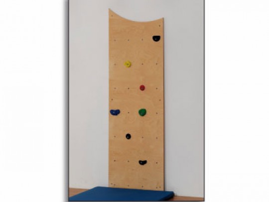 All-In Sport: Die Kletterplatte ist aus Multiplex Birke (15 mm) gefertigt und kann direkt auf eine tragfähige Wand montiert werden. Befestigungsmateria...