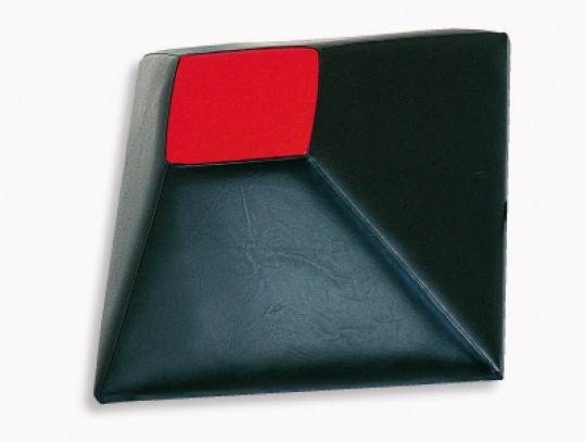 All-In Sport: Gemaakt van kunstleer, afmeting 60x80x20 cm, is dit trainingstoestel ideaal voor alle bokstechnieken. Levering inclusief wandbevestiging.