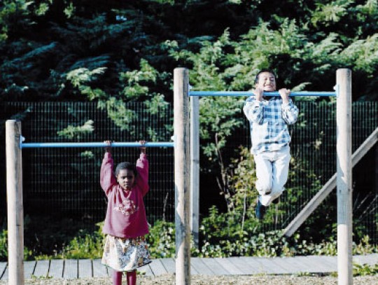 All-In Sport: <p><br />Materialen van dit toestel:<br />- Staanders van robinia- of eikenhout (hoge resistentieklasse)<br />- Planken en balken van lar...