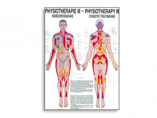 All-In Sport: Lehrtafeln der menschlichen Anatomie gelten als weltweit die schönsten und gelungensten anatomischen Tafeln. Die Zusammenarbeit von anerk...