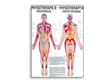 All-In Sport: Lehrtafeln der menschlichen Anatomie gelten als weltweit die schönsten und gelungensten anatomischen Tafeln. Die Zusammenarbeit von anerk...