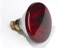 All-In Sport: Die Ersatzlampe für Rotlichtstrahler. Die Lampenfassung ist mit den meisten Infrarotstrahlern kompatibel. Leistung Lampe: 150 Watt.