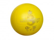 All-In Sport: Perfecte bal voor het aanleren van volleybal. Extreem zachte oppervlaktestructuur. Van extreem slijtvast en toch zeer zacht kunststof, 3-...