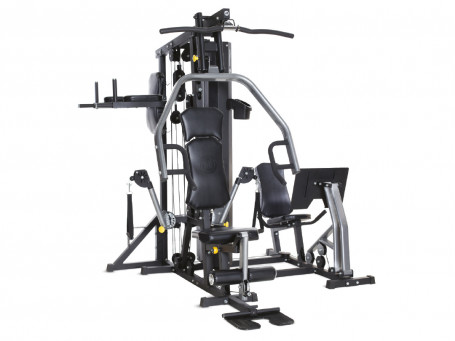 Multi-Station HORIZON FITNESS TORUS 5