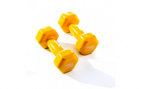 Vinyl dumbbells 2 x 2,5 kg