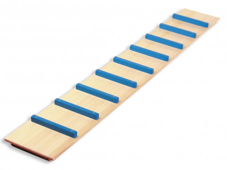 Kippenladder blauw