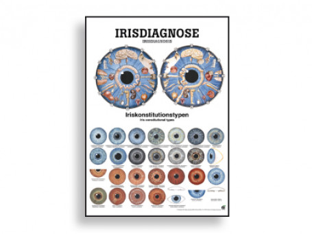 Irisdiagnose anatomische poster