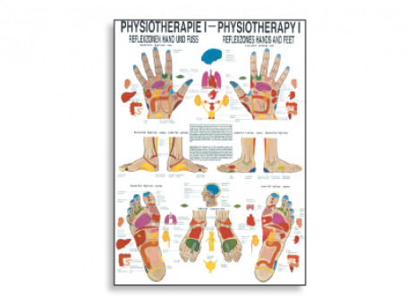 Reflexzones fysiotherapie-poster