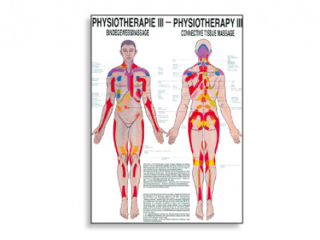 Bindweefselmassage fysiotherapie-poster