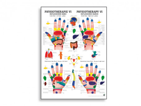 Reflexzones Hand fysiotherapie-poster