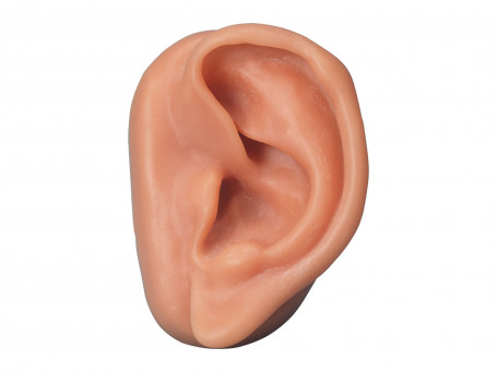 Akupunctuurmodel oor links