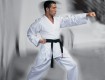 All-In Sport: Der ideale Judo-Anzug für Jugendliche und Erwachsene. Verstärkungen an Schulter, Brust und Achsel. Hose am Knie gedoppelt und im Kreuzste...