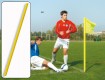 All-In Sport: Kleur geel, 160 cm lang, Ø 50 mm. Licht en onbreekbaar, weerbestendig, kleurecht. Excl. vlag – aub. apart bestellen.