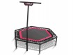 All-In Sport: Jumping Fitness - de perfecte conditietraining! De trampoline-workout in een groep in de sportschool of tussen de eigen vier muren op mot...