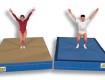 All-In Sport: <p>De ideale all-round mat voor scholen, clubs en wedstrijden. Deze ideale type mat, dat snel en eenvoudig  kan worden gedraaid, is ...