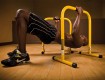All-In Sport: Training met het eigen lichaamsgewicht. Voor dips, ligsteunen, roeien of voor stretching. Lichte, stabiele steunen, 70 cm hoog, kleur gee...