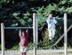 All-In Sport: <p><br />Materialen van dit toestel:<br />- Staanders van robinia- of eikenhout (hoge resistentieklasse)<br />- Planken en balken van lar...