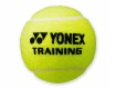 All-In Sport: Deze trainingsbal is perfect voor trainingsdoeleinden. De bal is drukloos, met lange levensduur en geschikt voor tenniskanonnen. Een econ...