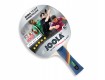 All-In Sport: Batje met 2 mm dikke TEACHER-toplaag, ITTF-toegelaten, grip concaaf. Ideaal voor ambitieuze spelers.