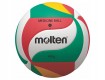 All-In Sport: deze Molten volleybal is speciaal voor de volleybaltraining ontwikkeld. Vanwege het verhoogde gewicht (400 gram) worden ideale trainingso...