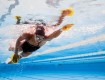 All-In Sport: Finis® Agility Paddles - uw nieuwe trainingspartner, die u werkelijk voorwaarts brengt.<br /><br />Deze zwempaddles zijn ergonomisch gevo...