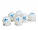 All-In Sport: Tafeltennisballen Joola® ROSSKOPF CHAMP wit, doos van 6 stuks